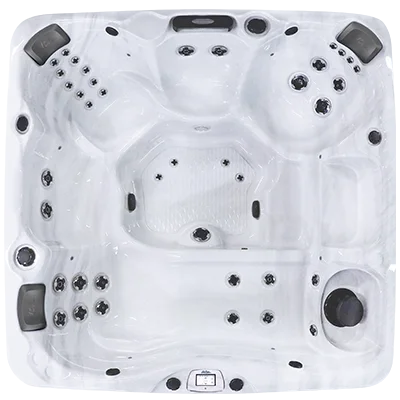 Avalon-X EC-840LX hot tubs for sale in Woodbury
