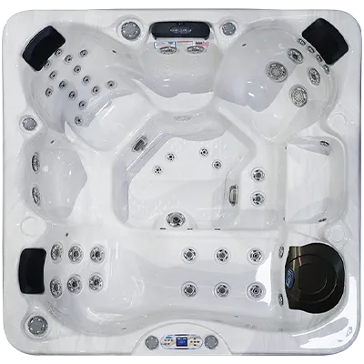 Avalon EC-849L hot tubs for sale in Woodbury