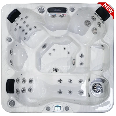 Avalon-X EC-849LX hot tubs for sale in Woodbury