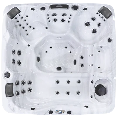 Avalon EC-867L hot tubs for sale in Woodbury